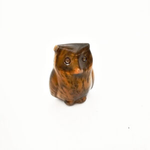 Tigers Eye Owl