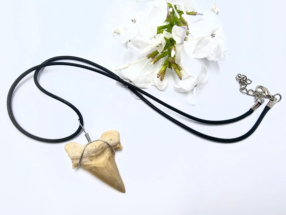 Shark Tooth Necklace Shark Tooth Necklace - Image 2