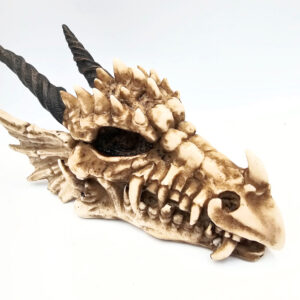 Dragon Skull Box