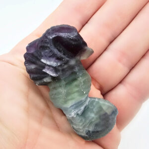 Rainbow Fluorite Seahorse