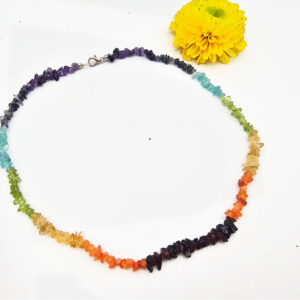 Chakra Stone Chips Chocker Necklace