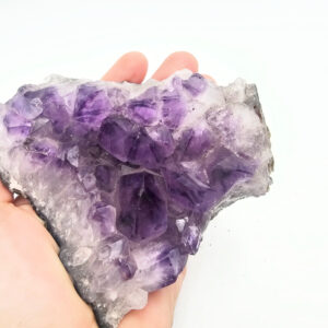 Amethyst Cluster C (563g)