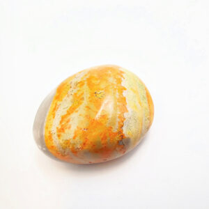 Bumble Bee Jasper Polished D (18g)