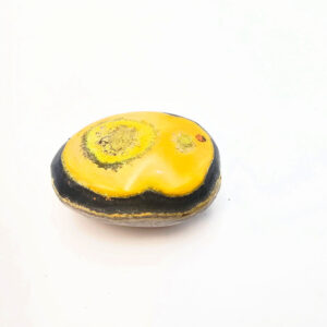 Bumble Bee Jasper Polished I (16g)