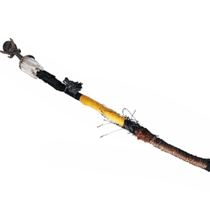 Dragon Guardian Wand