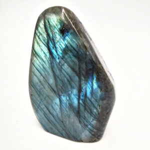 Labradorite Free Form B (524g)