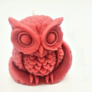 Owl Moon Candle
