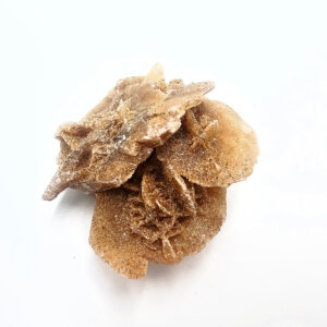 Desert Rose Selenite Specimen