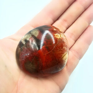Petrified Wood Palm Stone A (104g)