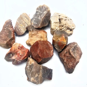 Petrified Wood Rough Pieces