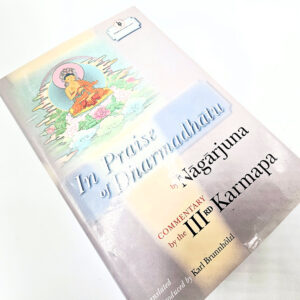 In Praise of Dharmadhatu (Karl Brunnholzl)