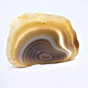 Hello Indigo Halo Online Store Botswana Agate Polished Slice