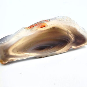 Hello Indigo Halo Online Store Botswana Agate Polished Slice