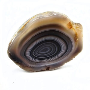 Hello Indigo Halo Online Store Botswana Agate Polished Slice
