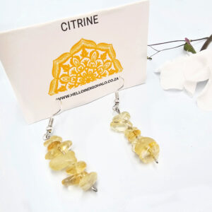 Hello Indigo Halo Online Store Citrine Chip Earrings