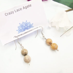 Crazy Lace Agate Dangle Earrings
