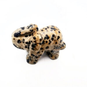 Hello Indigo Halo Online Store Dalmation Jasper Elephant