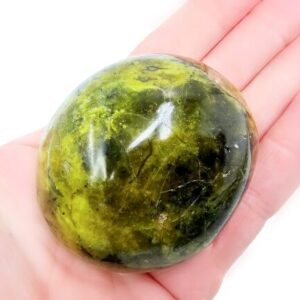 Green Opal Palm Stone A Rare (152g)