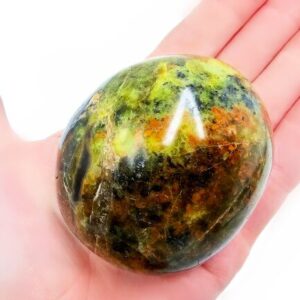 Green Opal Palm Stone C (208g) Rare