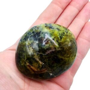 Green Opal Palm Stone B (136g) Rare