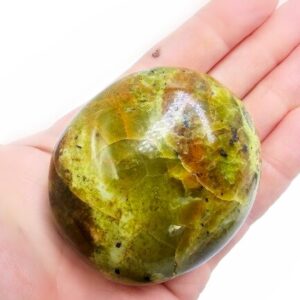 Green Opal Palm Stone D (166g) Rare