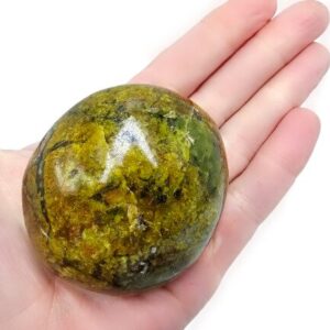 Green Opal Palm Stone F (182g) Rare