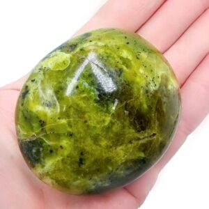 Green Opal Palm Stone G (158g) Rare