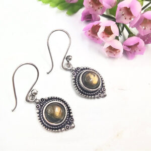 Labradorite New Age Earring (W/Brass)