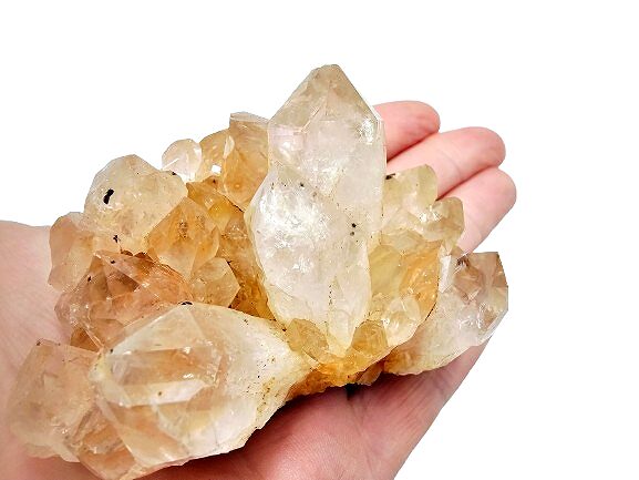 Limonite Cluster (Golden Healer) G (184g) Limonite Cluster (Golden Healer) G (184g) - Image 2