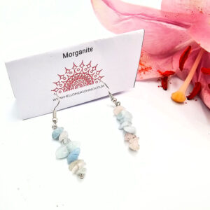 Hello Indigo Halo Online Store Morganite Chip Earrings