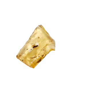 Natural Honey Amber Specimen B (2.5g) Large Insect