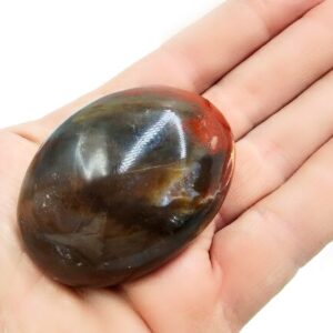 Petrified Wood Palm Stone B (78g)