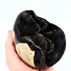 Septarian Geode (Dragon Egg) A 1.15kg