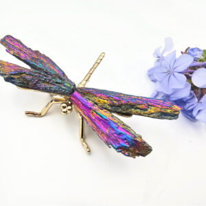 Aura Kyanite Dragonfly (12cm)