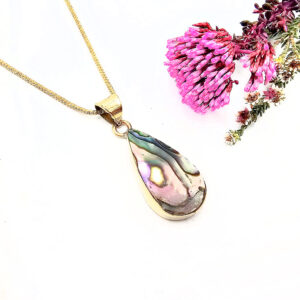 Drop Abalone Shell Necklace
