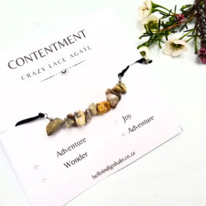 Crazy Lace Agate Chip Bangle (Contentment)
