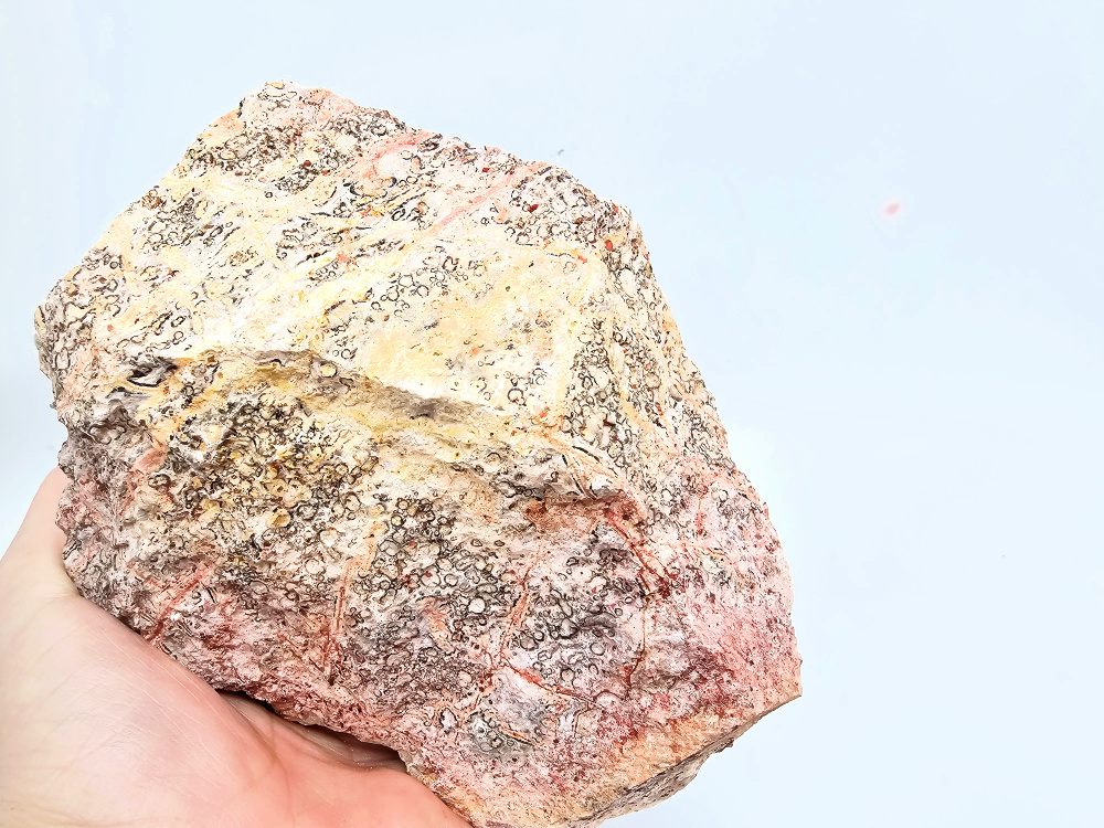 Leopard Skin Jasper Rough Large Chunk C (1,2kg) Leopard Skin Jasper Rough Large Chunk C (1,2kg) - Image 2
