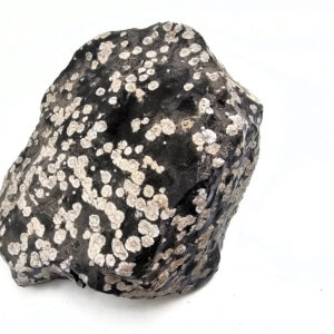 Snowflake Obsidian Rough C (1,38kg)