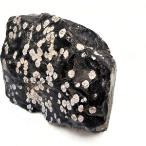 Snowflake Obsidian Rough D (864g)