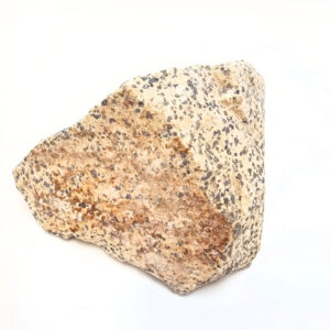 Dalmatian Jasper Rough B (754g)