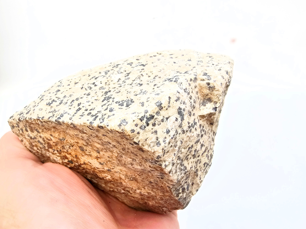 Dalmatian Jasper Rough B (754g) Dalmatian Jasper Rough B (754g) - Image 2