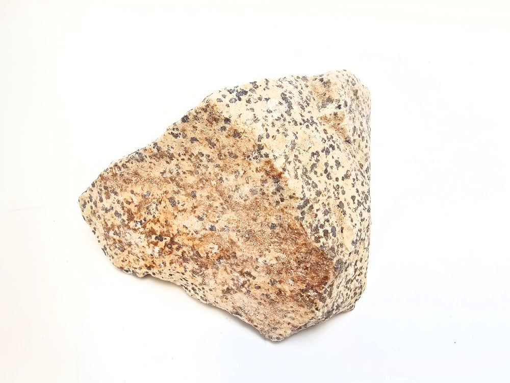 Dalmatian Jasper Rough B (754g) Dalmatian Jasper Rough B (754g)