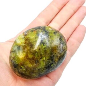 Green Opal Palm Stone D (158g) Rare
