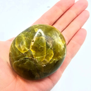 Green Opal Palm Stone G (164g) Rare