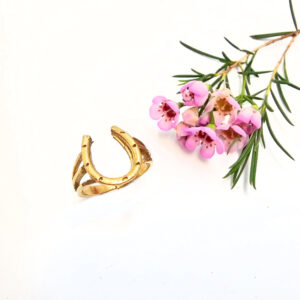 Lucky Horse Shoe Ring (Brass)