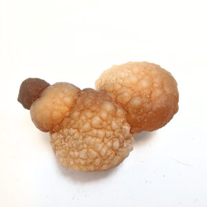 Panda Agate Truffle Chalcedony A (30g)