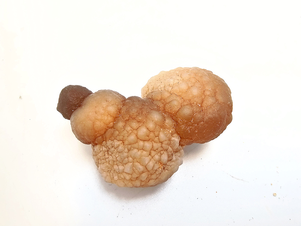 Panda Agate Truffle Chalcedony A (30g) Panda Agate Truffle Chalcedony A (30g)