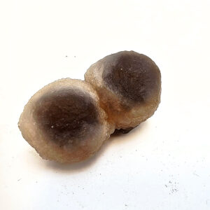 Panda Agate Truffle Chalcedony C (28g)