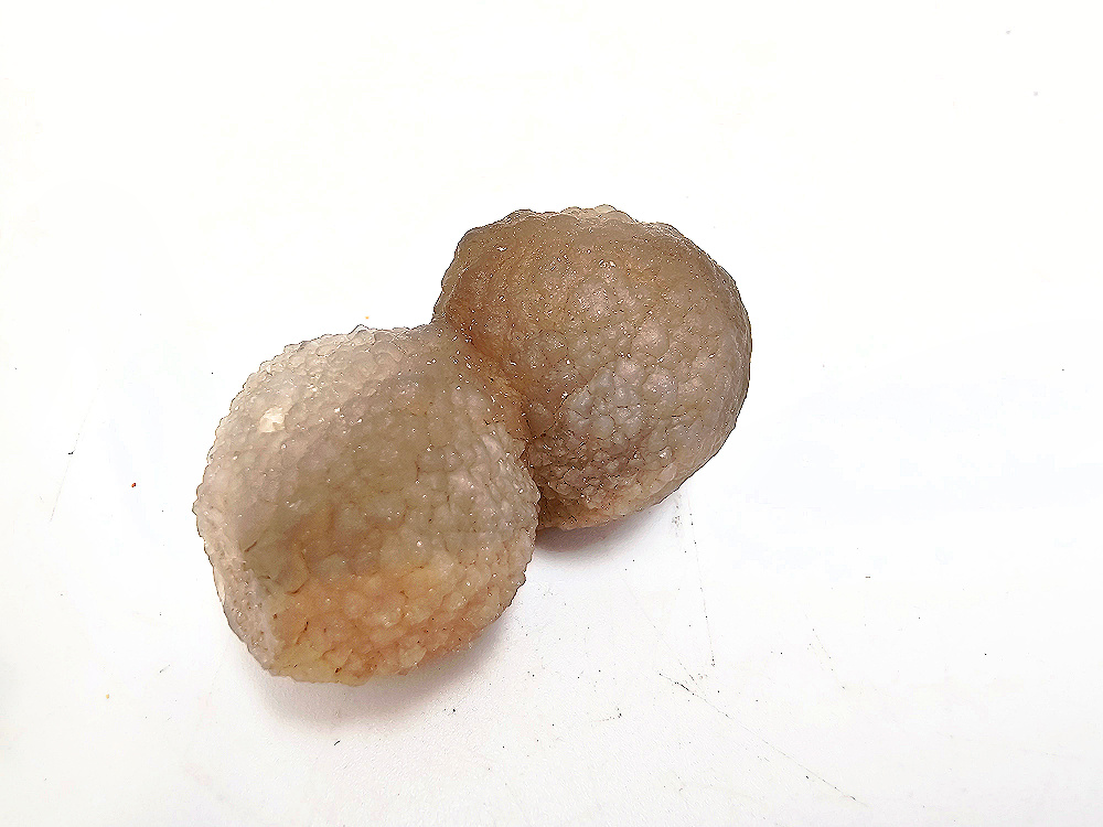 Panda Agate Truffle Chalcedony C (28g) Panda Agate Truffle Chalcedony C (28g) - Image 2