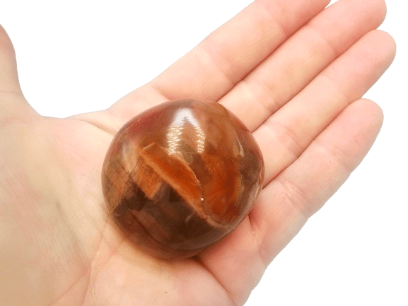 Petrified Wood Palm Stone C (100g) Petrified Wood Palm Stone